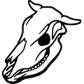 (image for) Cow Skull 004 =