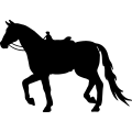 (image for) Horse Saddled 001 =