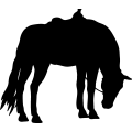 (image for) Horse Saddled 004 =