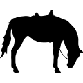 (image for) Horse Saddled 005 =