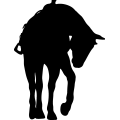 (image for) Horse Saddled 021 =