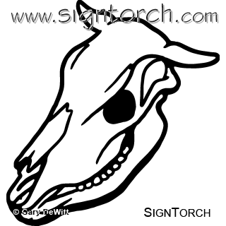 (image for) Cow Skull 004 =