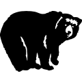 (image for) Bear 026 =