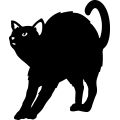 (image for) Black Cat 001 =