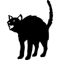 (image for) Black Cat 005 =