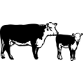 (image for) Cow Calf 001 =
