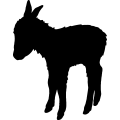 (image for) Donkey 024 _