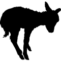 (image for) Donkey 025 _