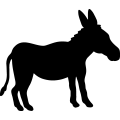 (image for) Donkey 060 _