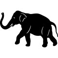 (image for) Elephant 021 =