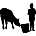 (image for) Farm Boy Calf 001 =