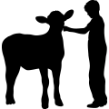 (image for) Farm Boy Calf 002 _