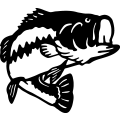 (image for) Largemouth Bass =