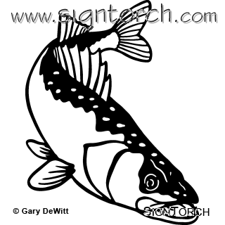 (image for) Walleye 003 =