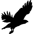 (image for) Flying Hawk =