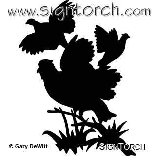 (image for) Quail 1 =