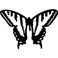 (image for) Butterfly 071 =