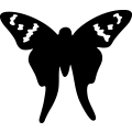 (image for) Butterfly 072 =