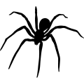 (image for) Spider 002 =