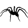 (image for) Spider 003 =