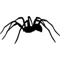(image for) Spider 004 =