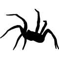 (image for) Spider 005 _