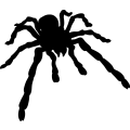 (image for) Spider 006 =