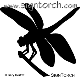 (image for) Dragonfly =