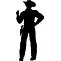 (image for) Cowboy 113 =