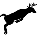 (image for) Buck Deer 004 =