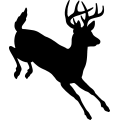 (image for) Buck Deer 005 =