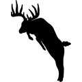 (image for) Buck Deer 007 _