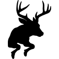 (image for) Buck Deer 008 _