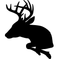 (image for) Buck Deer 009 =