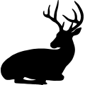 (image for) Buck Deer 013 =