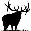 (image for) Bull Elk 004 =