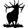 (image for) Bull Elk 014 =