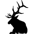 (image for) Bull Elk 015 =