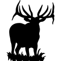 (image for) Bull Elk 017 =