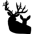 (image for) Deer 048 =