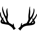 (image for) Deer 050