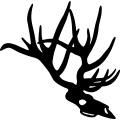 (image for) Deer 055 =