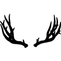 (image for) Deer 057 ! =