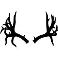 (image for) Deer 058 ! =