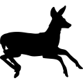 (image for) Deer 061 =
