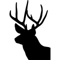 (image for) Deer 062 =