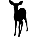 (image for) Deer =