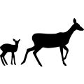 (image for) Deer Family 014 ! =