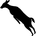 (image for) Deer Jumping 001 _