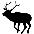 (image for) Elk 020 =